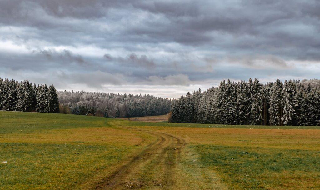 Schwarzwald