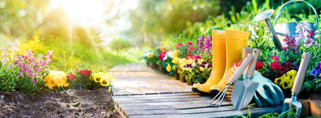 Sonniger Gartenweg mit bunten Blumen, Gummistiefeln, Gartengeraeten und Pflanzgefaessen im Fruehling