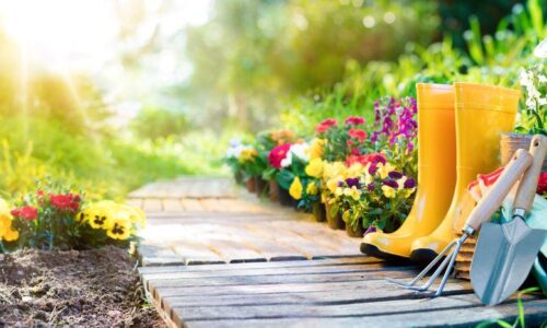 So gelingt der perfekte Start in die Gartensaison