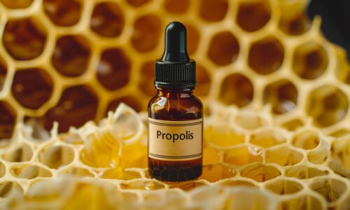 Kleine Tropfen, große Wirkung – Naturkraft neu entdeckt